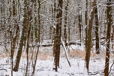 DSC_0095-EDIT.jpg
