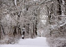 DSC_0061-EDIT.jpg