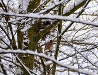 DSC_0156-EDIT.jpg