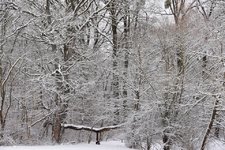 DSC_0043.JPG