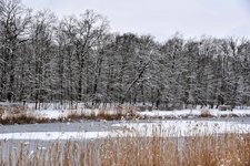 DSC_0073-EDIT.jpg