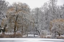 DSC_0070.JPG