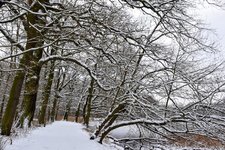 DSC_0146-EDIT.jpg