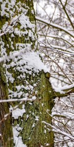 DSC_0076-EDIT.jpg