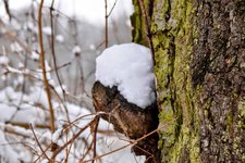 DSC_0109-EDIT.jpg