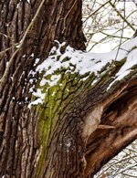 DSC_0087-EDIT.jpg
