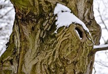 DSC_0115-EDIT.jpg