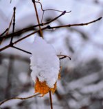 DSC_0111-EDIT-EDIT.jpg