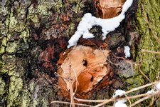 DSC_0110-EDIT.jpg
