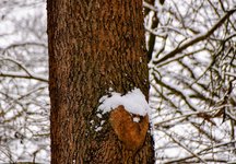 DSC_0059-EDIT.jpg