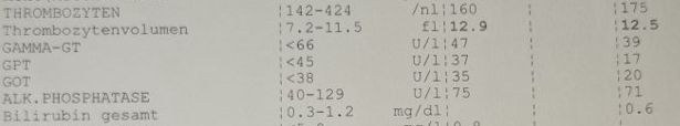 1740130710552.png