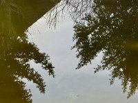 klein_ - 9 (54).jpeg