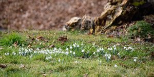 DSC_0065.JPG