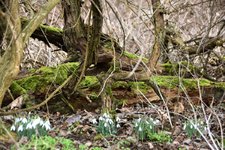 DSC_0087.JPG