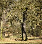 DSC_0244.JPG