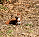 DSC_0010-EDIT.jpg