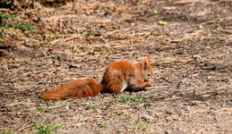 DSC_0022-EDIT.jpg