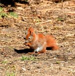 DSC_0049-EDIT.jpg