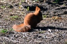 DSC_0086.JPG