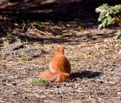 DSC_0084-EDIT.jpg