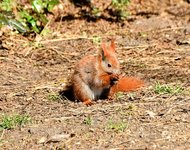 DSC_0064-EDIT.jpg