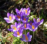 DSC_0118.JPG