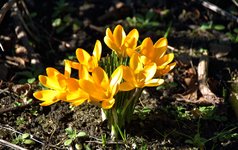 DSC_0107.JPG