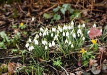 DSC_0132-EDIT.jpg