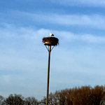 IMG_7427.JPG