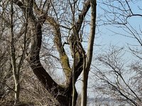 klein_ - 7 (60).jpeg