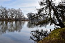 DSC_0043-EDIT.jpg