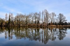 DSC_0045-EDIT.jpg