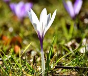 DSC_0238-EDIT.jpg