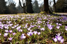 DSC_0204.JPG DSC_0204.JPG