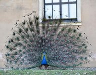 DSC_0414-EDIT.jpg