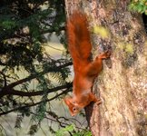 DSC_0284-EDIT.jpg DSC_0284-EDIT.jpg