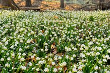 DSC_0169-EFFECTS.jpg