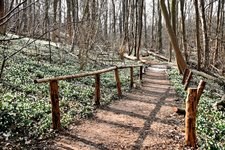 DSC_0066-EDIT.jpg