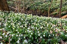 DSC_0067-EDIT.jpg
