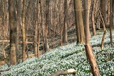 DSC_0208.JPG