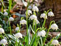 DSC_0104-EDIT.jpg