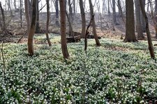 DSC_0115-EDIT.jpg