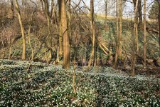 DSC_0160.JPG
