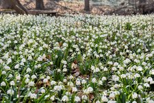DSC_0169-EDIT.jpg
