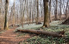 DSC_0140-EDIT.jpg