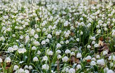 DSC_0122-EDIT.jpg