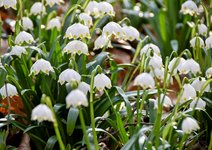 DSC_0123-EDIT.jpg