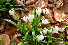 DSC_0128-EDIT.jpg