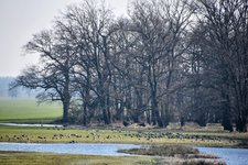 DSC_0263-EDIT.jpg