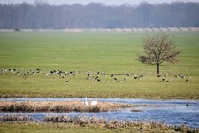DSC_0266.JPG DSC_0266.JPG